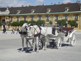 Fiaker vor dem Schloß Schönbrunn in Wien